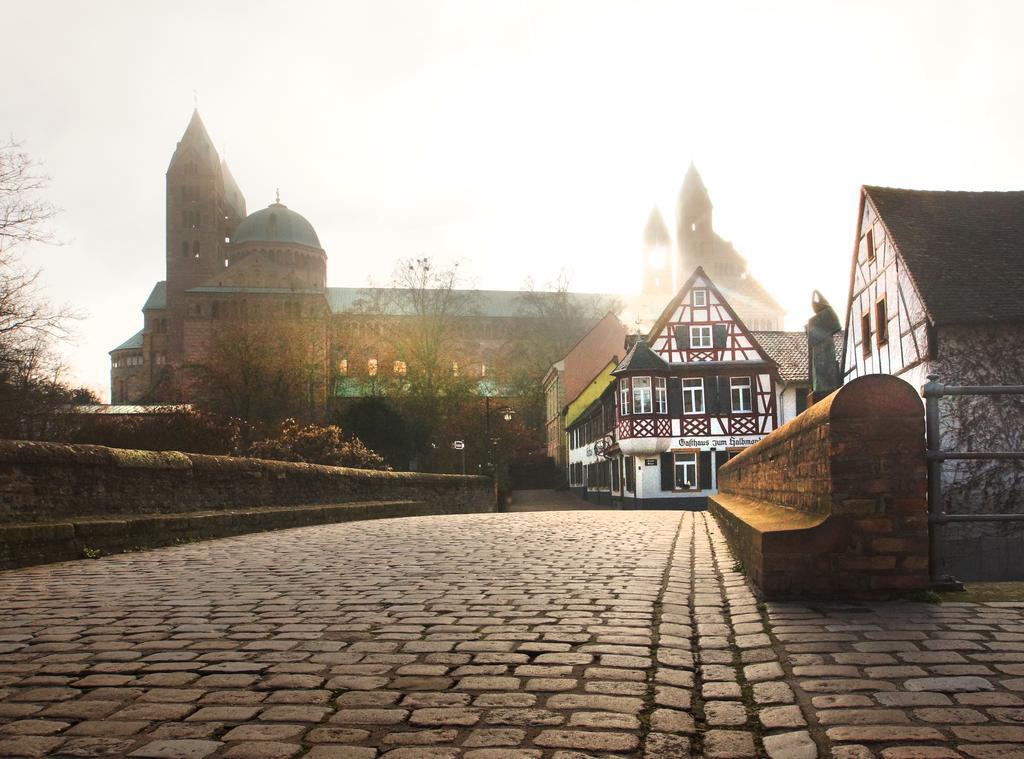 Rheintor-Apartment Speyer Rum bild